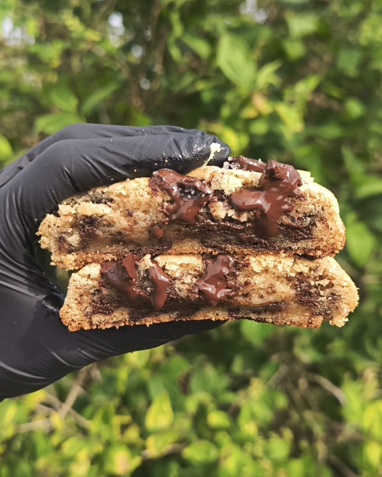 ACCUEIL LE DARK GAĂA