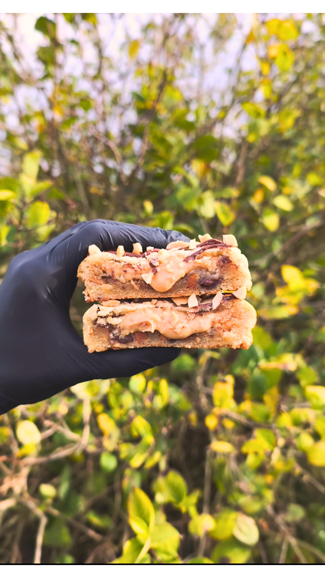 ACCUEIL design sans titre (2)