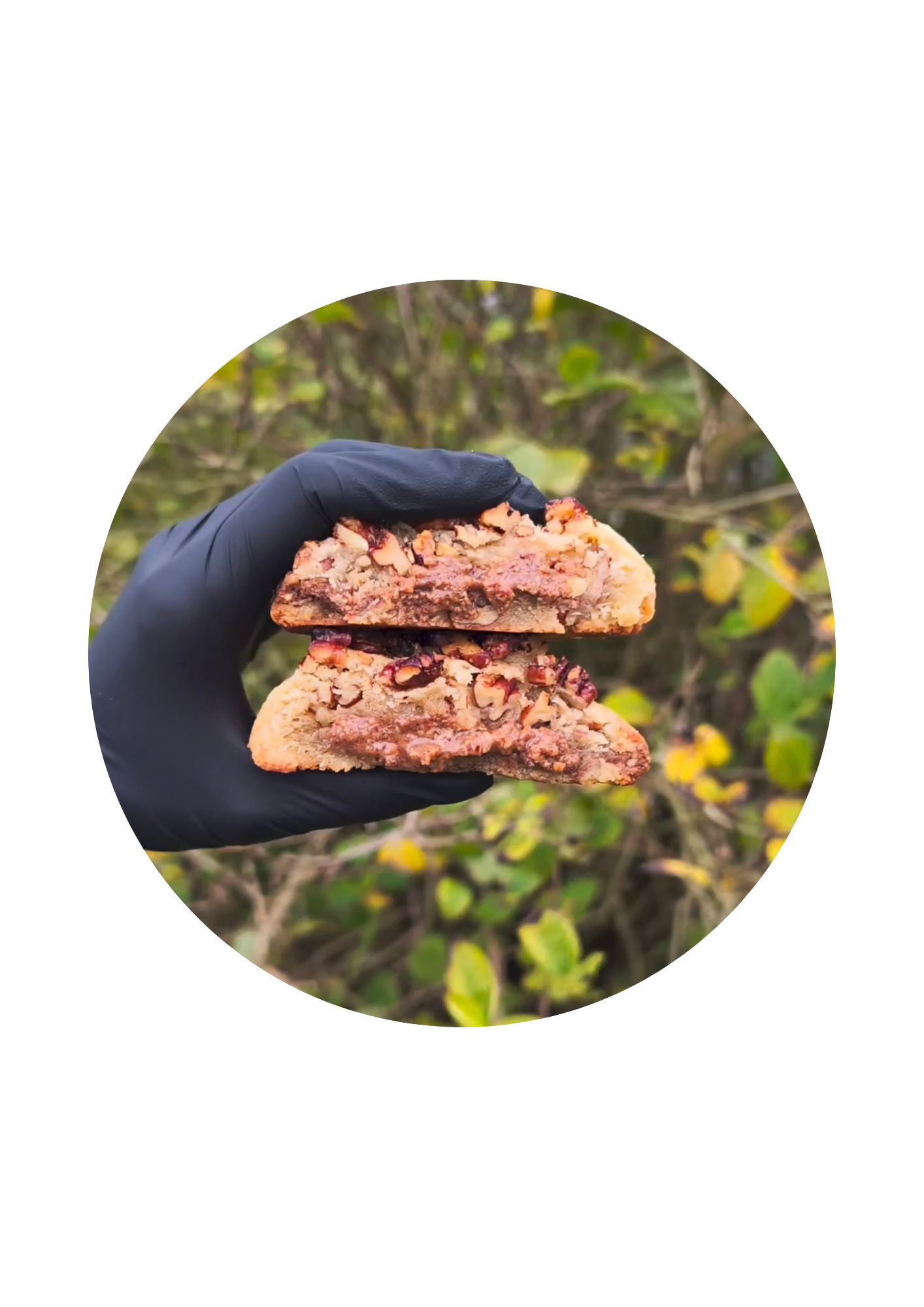 ACCUEIL votre texte de paragraphe test