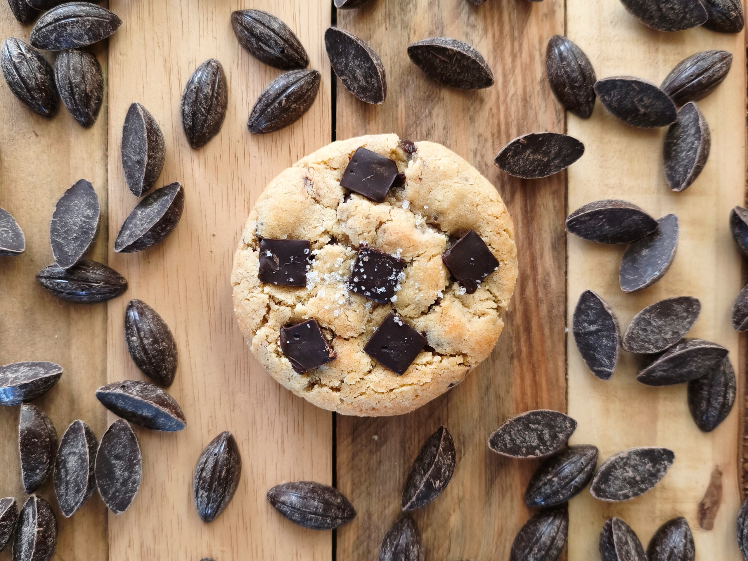 LE DARK GAÏA – Image 2